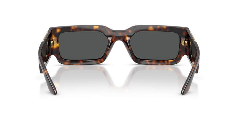 Versace VE4506U in Havana / Dark Grey (108/87) - Temple Detail