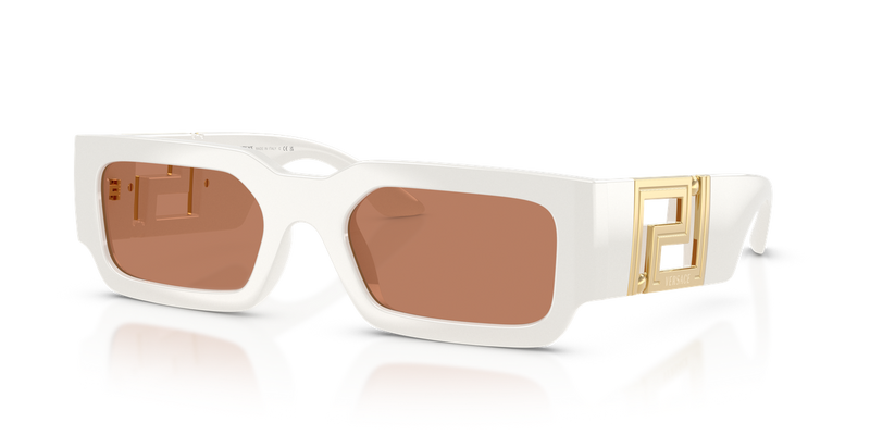 Versace VE4506U in Talc / Brown (554473) - Alternate View
