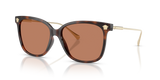 Havana / Brown (108/73)