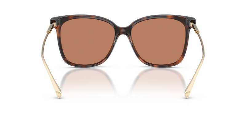 Versace VE4507U in Havana / Brown (108/73) - Temple Detail