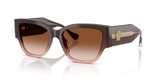 Brown Gradient (533213)
