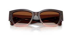 Brown Gradient (533213)