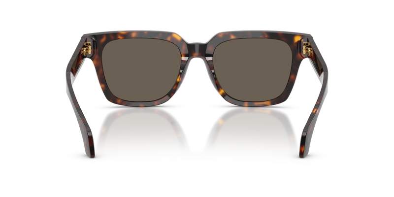 Versace VE4510U in Havana / Brown (108/3) - Temple Detail