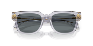 Transparent Grey / Dark Blue (530580)