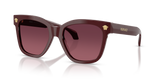 Burgundy / Gradient Purple (5381F4)