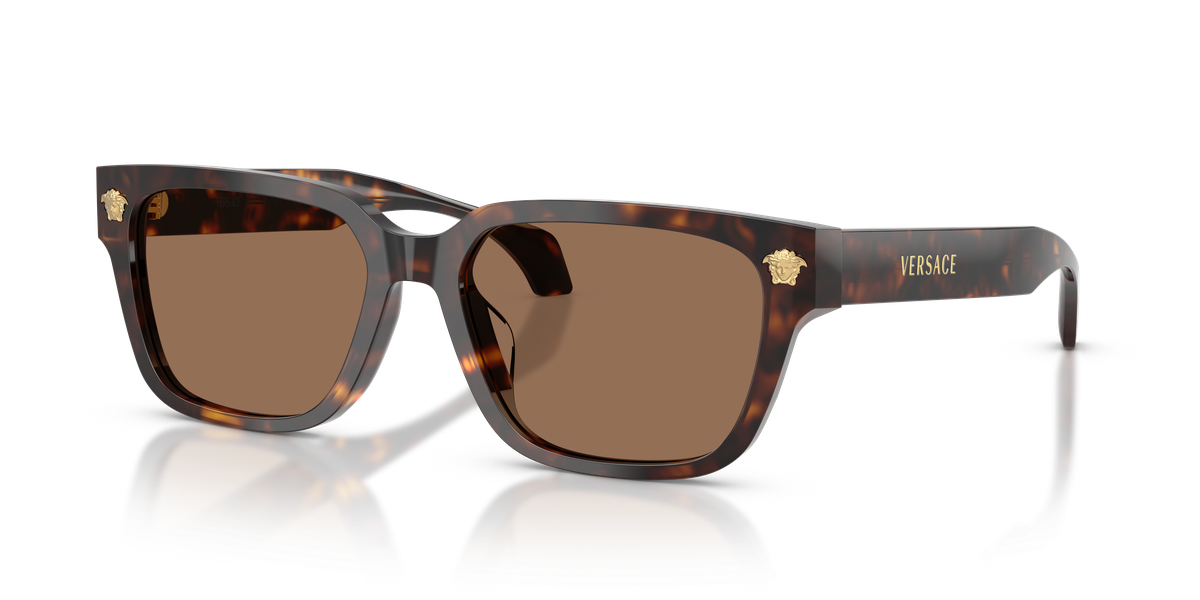 Versace VE4513D