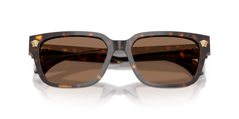 Versace VE4513D in Havana / Dark Brown (108/73) - Side View