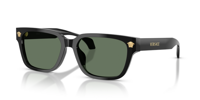 Versace VE4513D in Black / Dark Green (GB1/82) - Alternate View