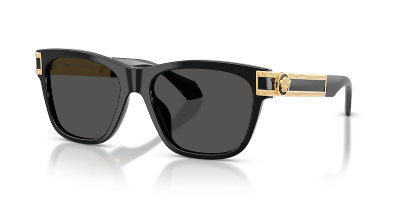 Versace VE4527U in Black - Alternate View