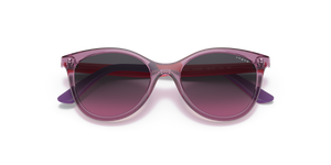 Transparent Cherry / Violet Dark Grey (276190)