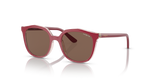 Transparent Pink/Top Fuchsia / Dark Brown (293173)