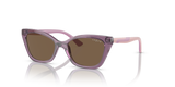 Transparent Violet / Dark Brown (306473)
