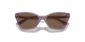 Transparent Violet / Dark Brown (306473)