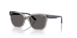 Transparent Grey / Black Smoke (272687)