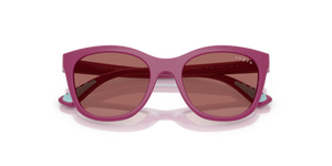 Full Purple / Dark Violet (321169)