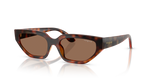 Dark Havana / Dark Brown (W65673)