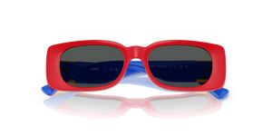 Red / Dark Grey (506587)