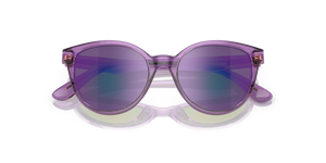 Lilac Glitter / Grey Mirror Violet (53734V)