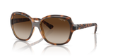 Striped Dark Havana / Brown Gradient (150813)
