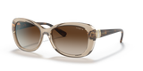 Transparent Light Brown / Brown Gradient (299013)