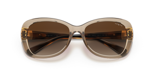Transparent Light Brown / Brown Gradient (299013)