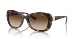 Dark Havana / Brown Gradient (W65613)
