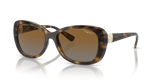 Dark Havana / Brown Gradient Polarized (W656T5)