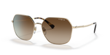 Pale Gold / Brown Gradient (848/13)