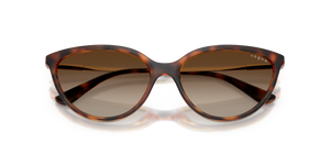 Dark Havana / Gradient Brown (W65613)