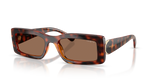 Dark Havana / Dark Brown (W65673)