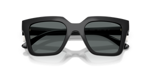 Black / Dark Grey Polarized (W44/81)