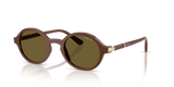 Full Brown / Dark Brown (329673)