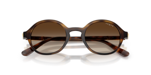 Dark Havana / Gradient Brown (W65613)