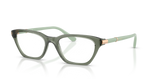 Transparent Mallard Green / Demo Lens (3086)