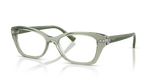 Transparent Green / Demo Lens (3022)