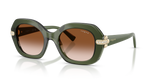Transparent Green / Brown Gradient (328713)