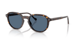Dark Havana / Dark Blue (W65680)