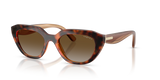 Dark Havana / Brown Polarized (W656T5)