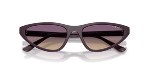 Full Purple / Yellow Gradient Violet (242670)