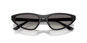 Black / Polarized Grey Gradient (W44/T3)