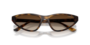 Dark Havana / Gradient Brown (W65613)