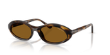 Dark Havana / Dark Brown Polarized (W65683)