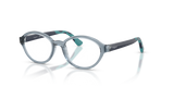 Transparent Light Blue / Demo Lens (2966)