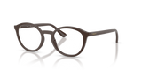 Full Brown / Demo Lens (2252)