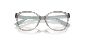 Transparent Grey / Demo Lens (3184)