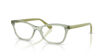 Transparent Green / Demo Lens (3022)
