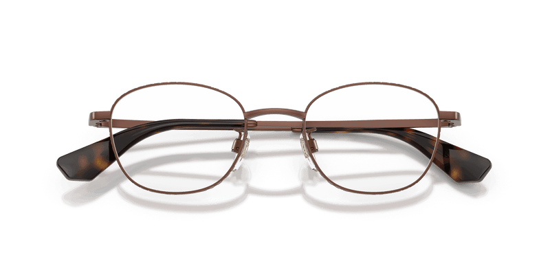 Matte Brown (1360)-swatch