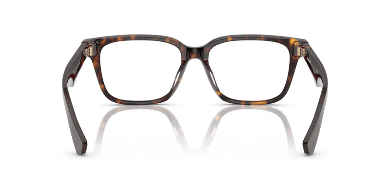 Dark Havana (3002)-variant-image