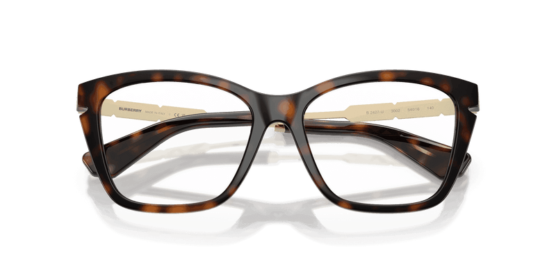 Dark Havana (3002)-swatch