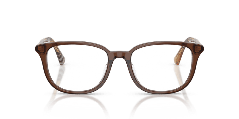 Burberry BE2434D in Brown / Demo Lens - Temple Detail